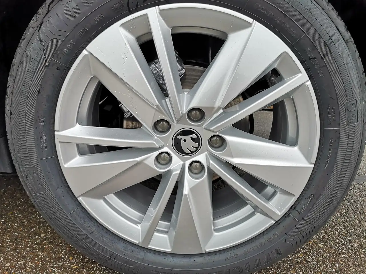 Karoq2.0 TDI Selection DSG 4x4 GV5 AHK 17