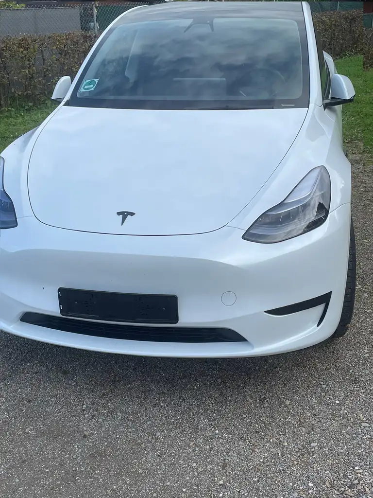 Model YModel Y RWD