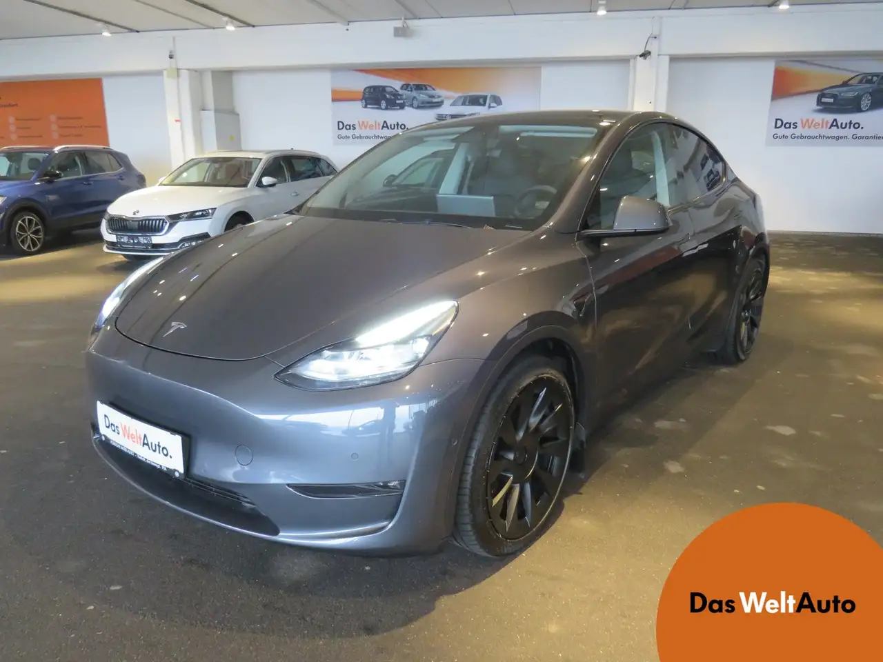 Model YLong Range Dual AWD