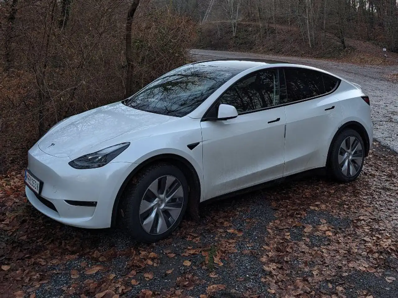 Model YModel Y  75kWh RWD RWD