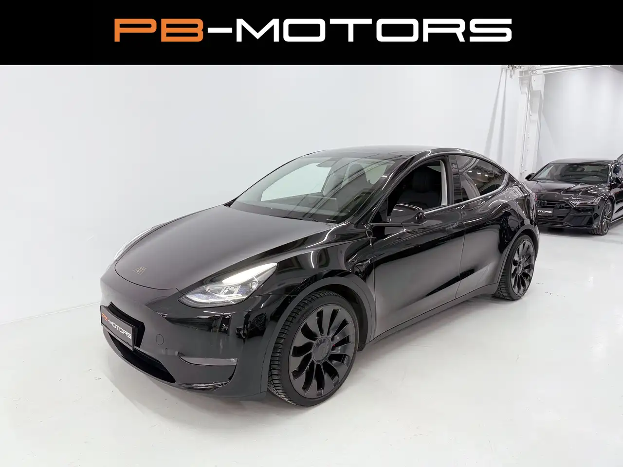 Model YPerformance AWD 21"