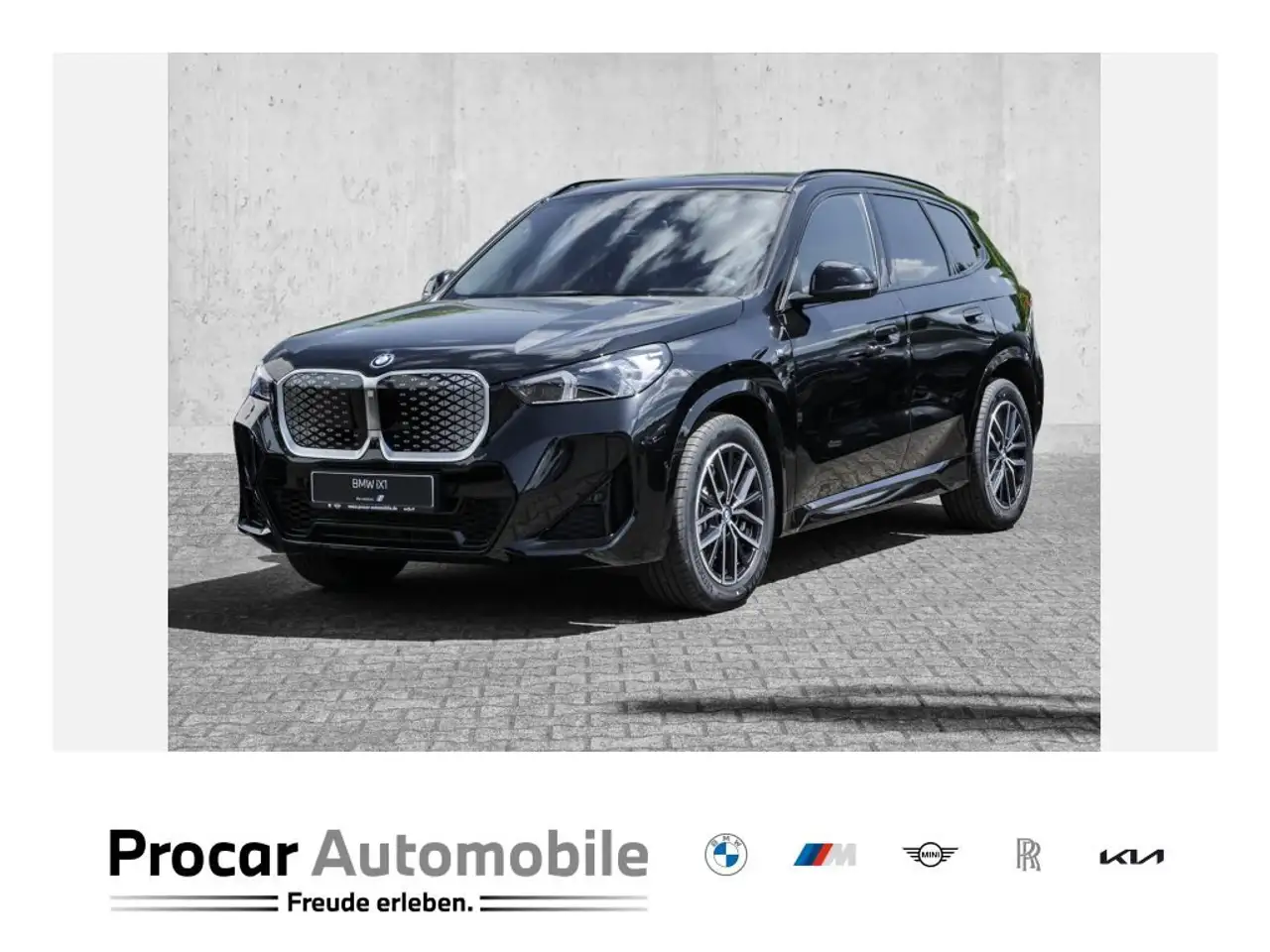 iX1xDrive30 MSport HuD H/K DA+ PA+ LED RFK PDC