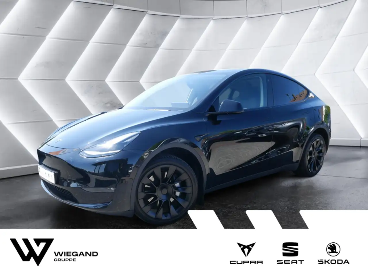 Model YLong Range Dual Motor AWD AHK 20"-LM
