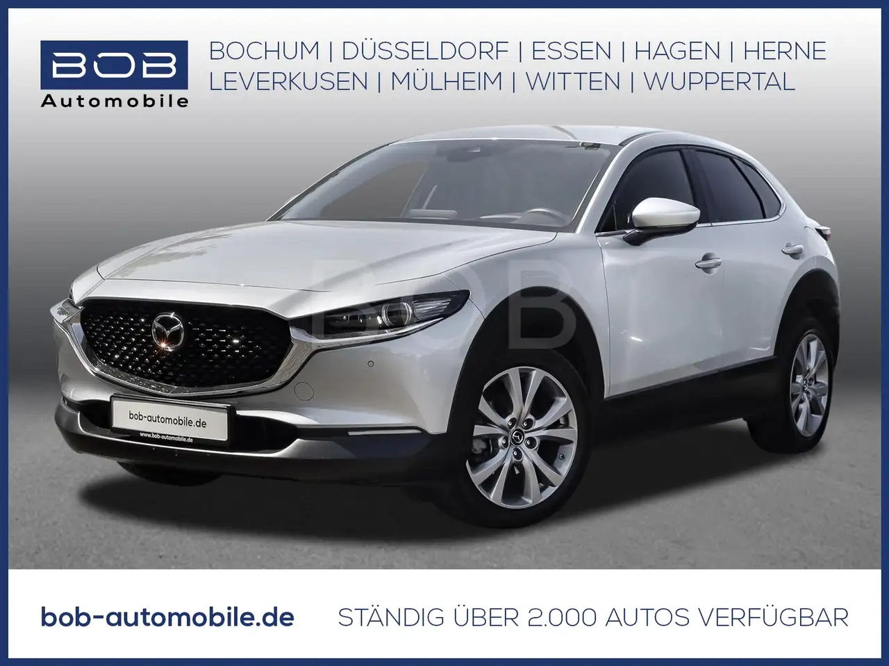 CX-30Selection 2WD NAVI SHZ PDC HEAD-UP