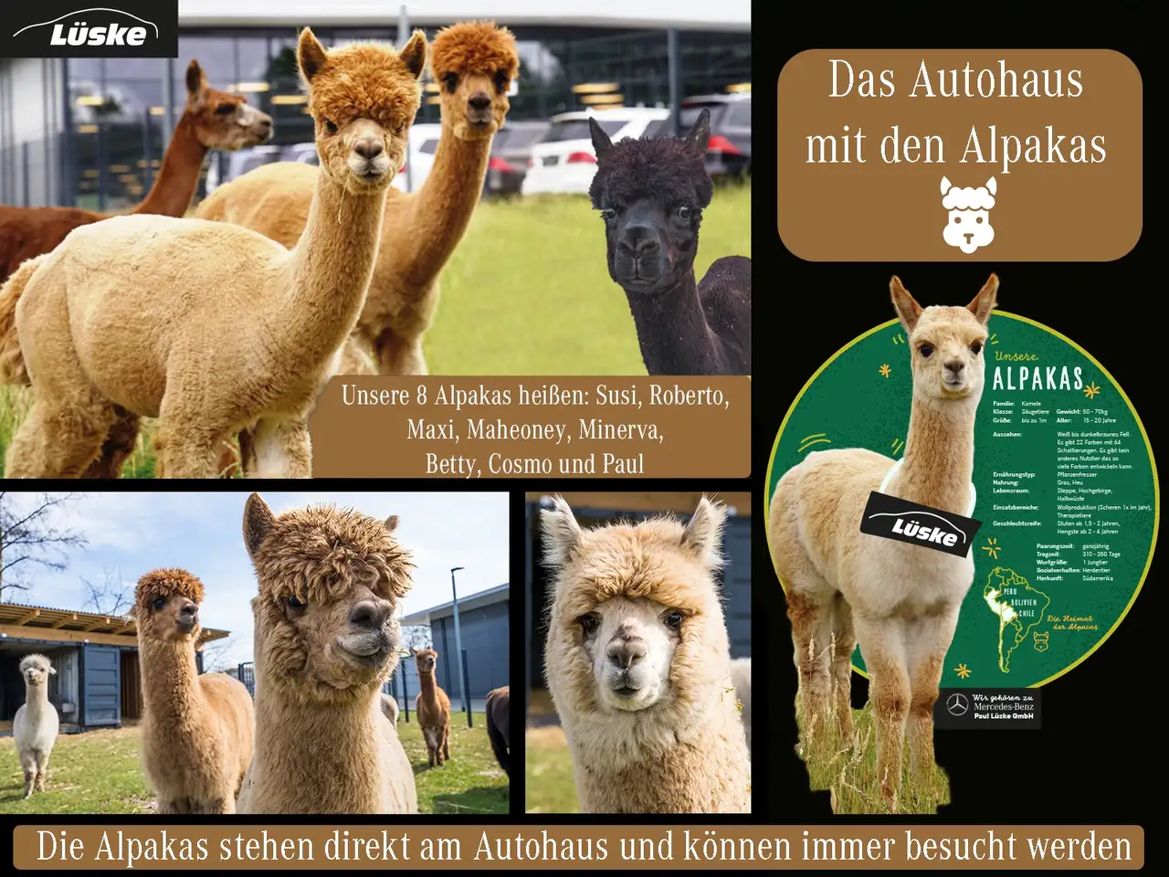 Фото машины 28