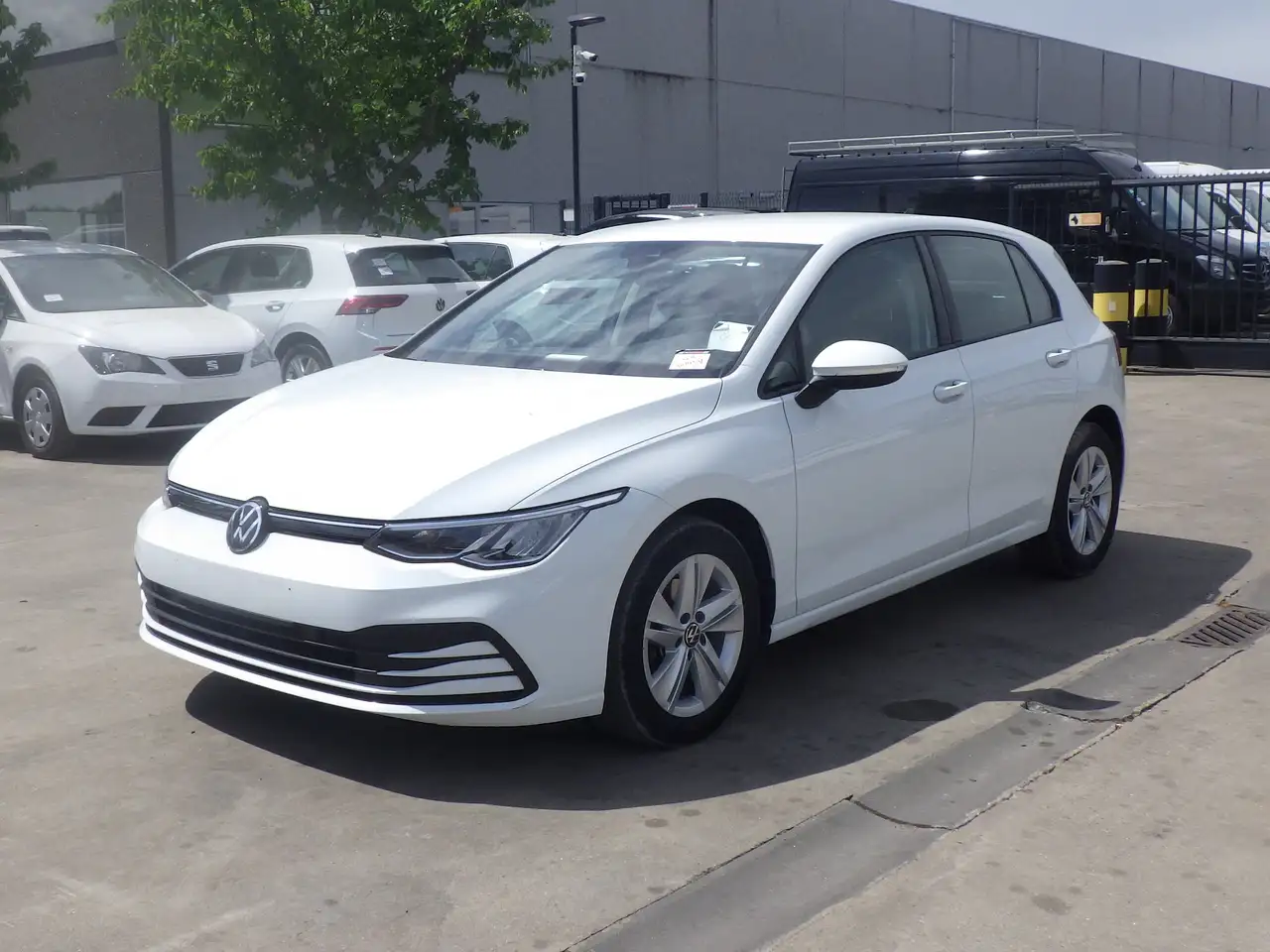 GolfGolf 8 (Stock ID 89869)