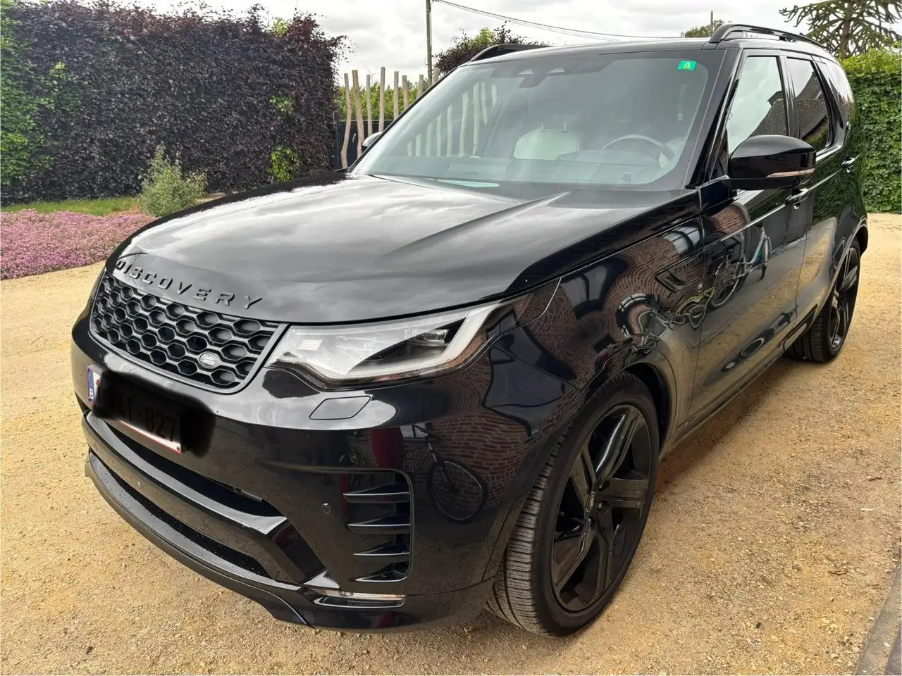 DiscoveryDiscovery D250R-Dynamic S