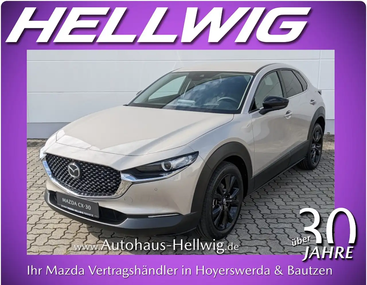 CX-302.5l (140PS) Homura Kamera Navi 2025 NEU