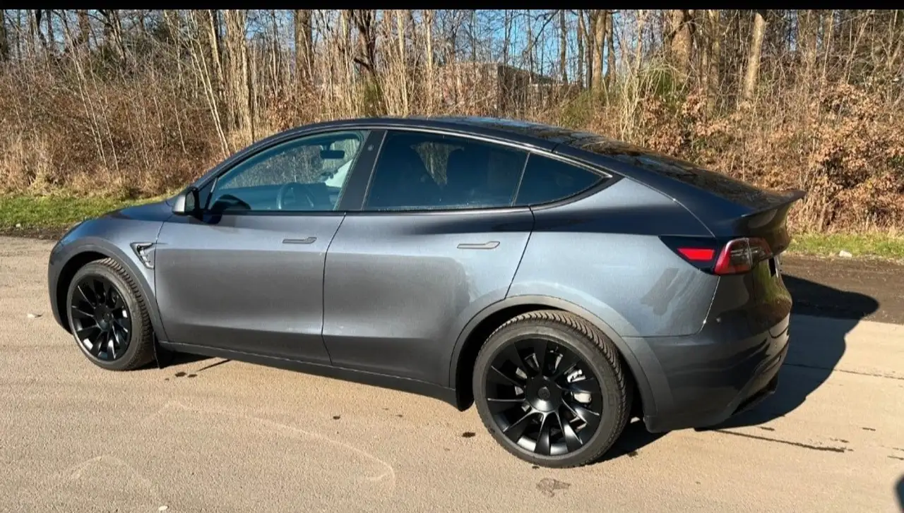 Model YModel Y RWD