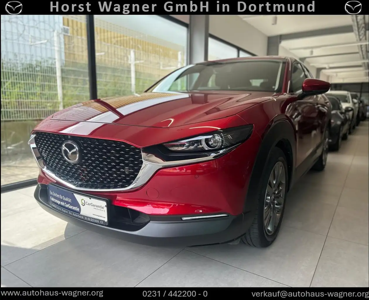 CX-30Selection X 186 PS *AWD*Leder*Premium*Design*