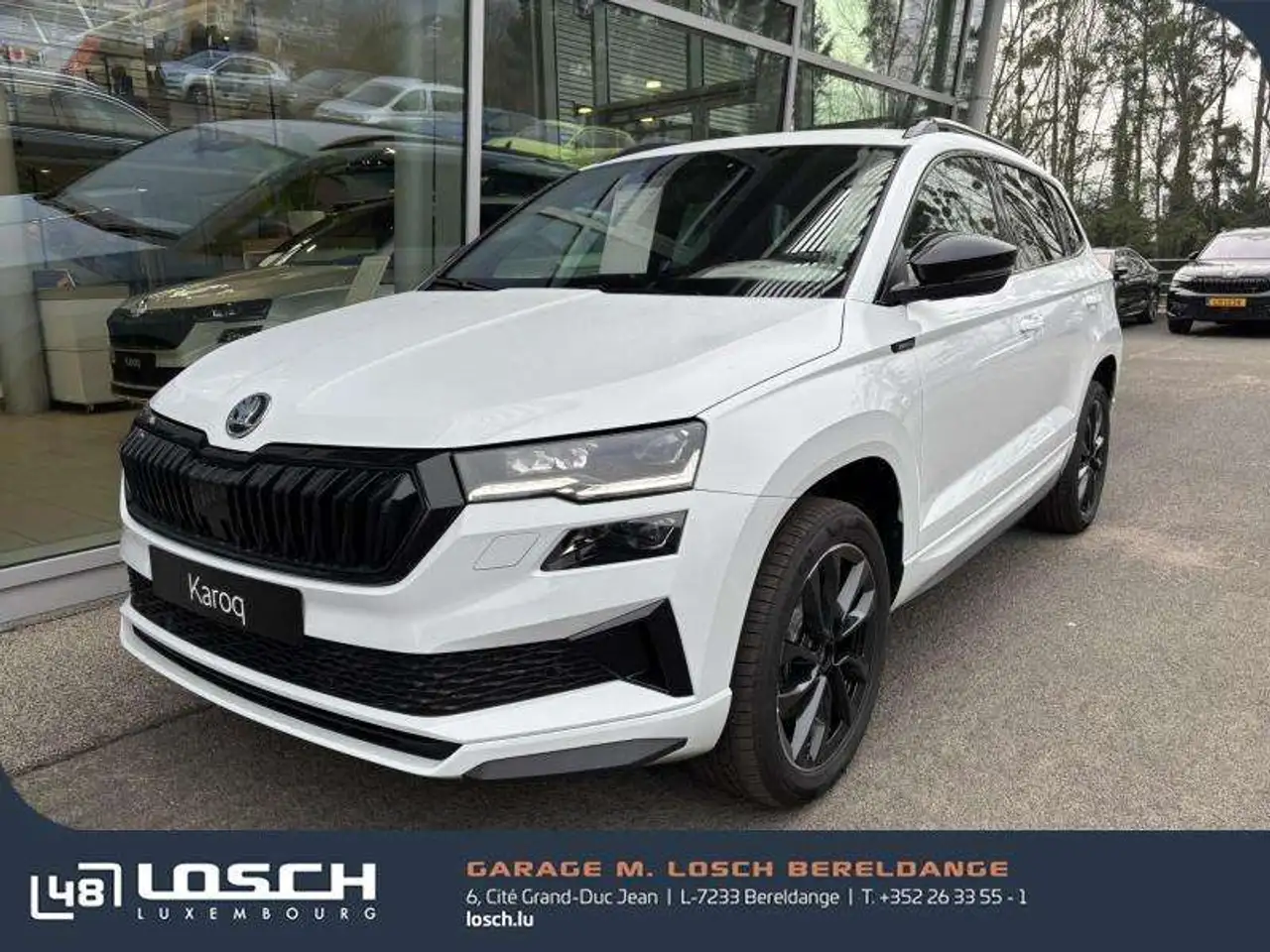 KaroqSportline