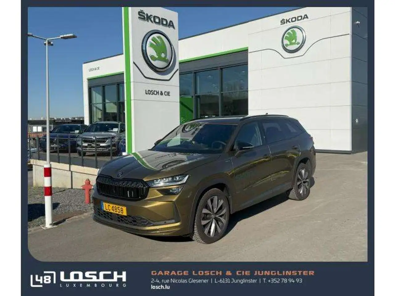 KodiaqSportline