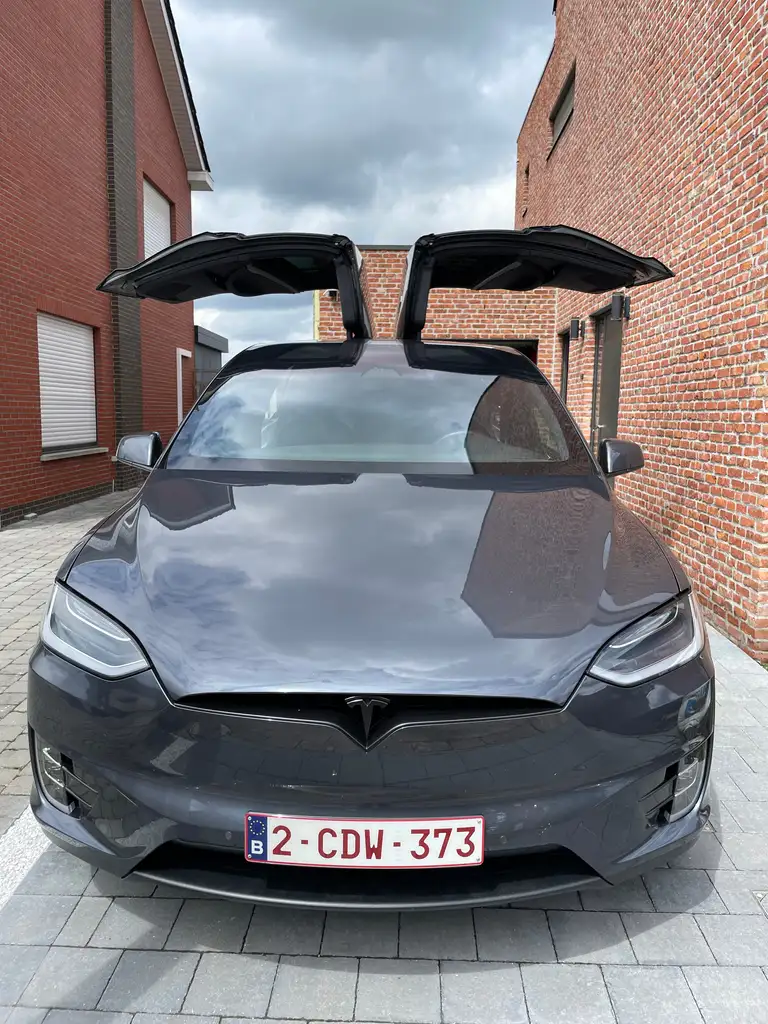 Model XModel X 100D Long Range FSD!!