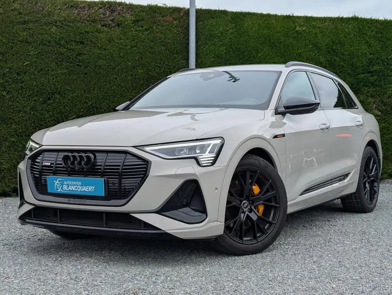 e-tron2x S-line - black style - lederen sportzetels