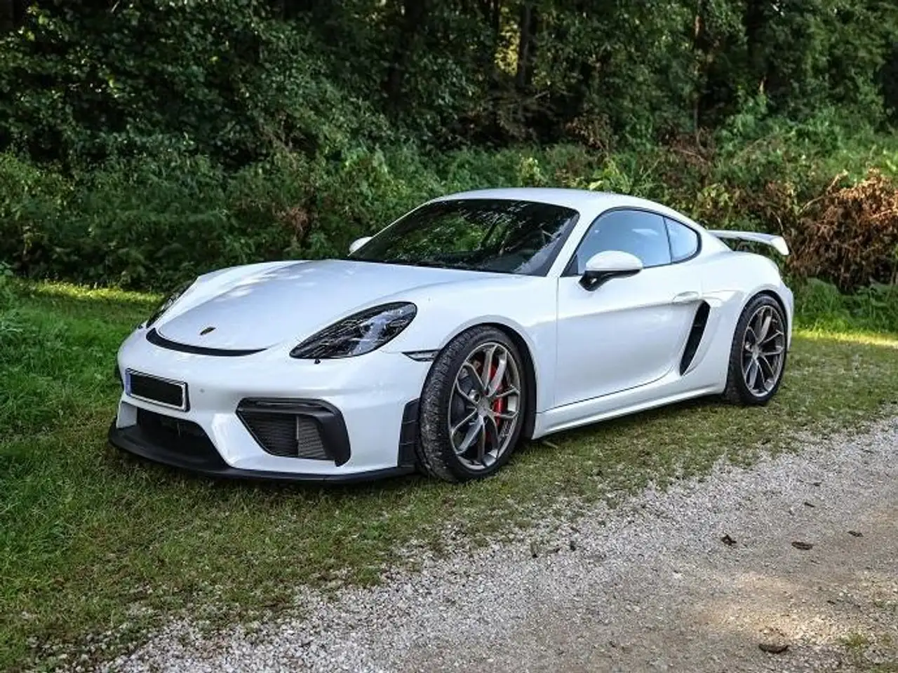 Cayman718 Cayman GT4!!