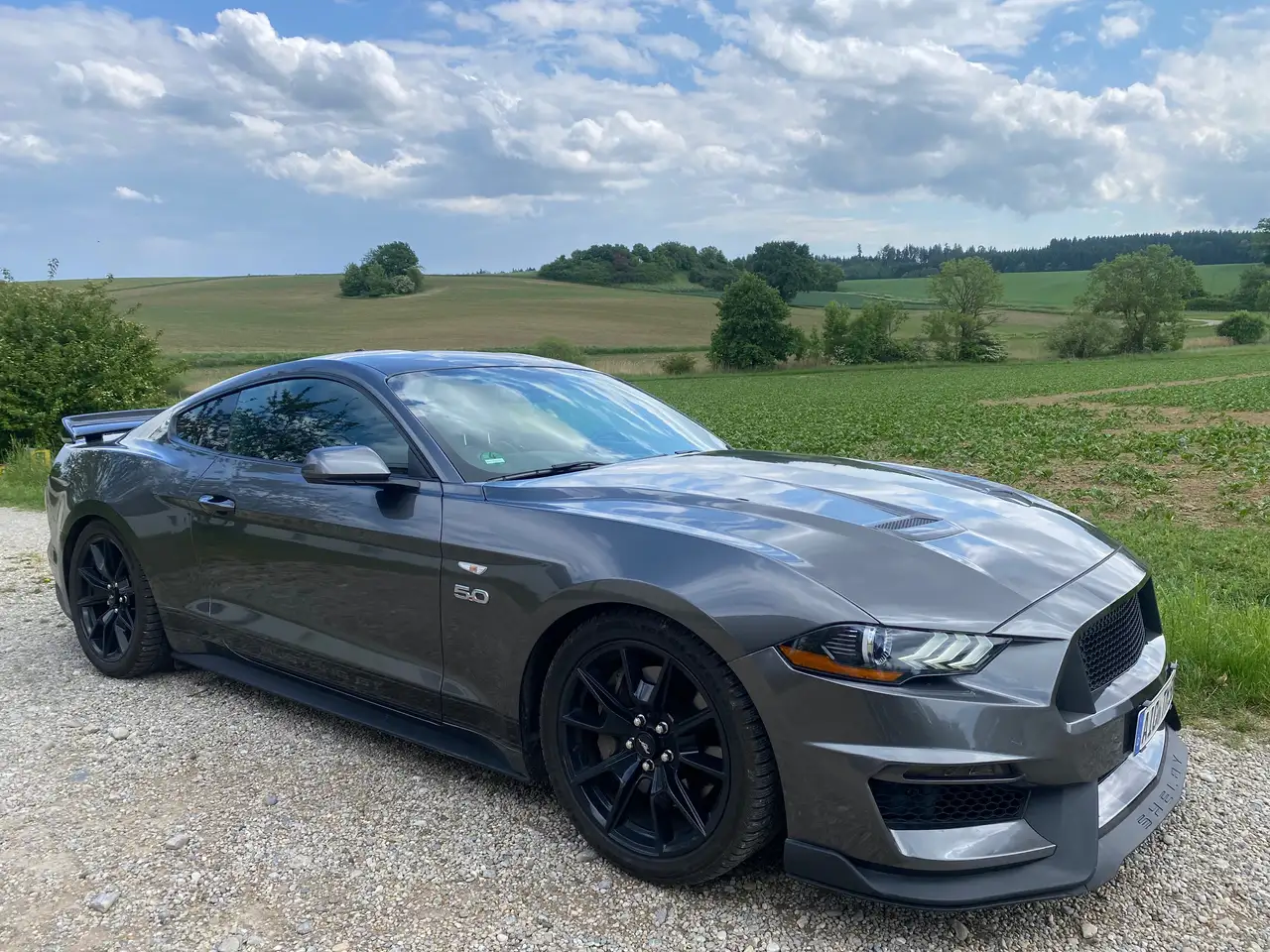 MustangGT V8, Schalter, Navi, SHZ, 55 Years Edition
