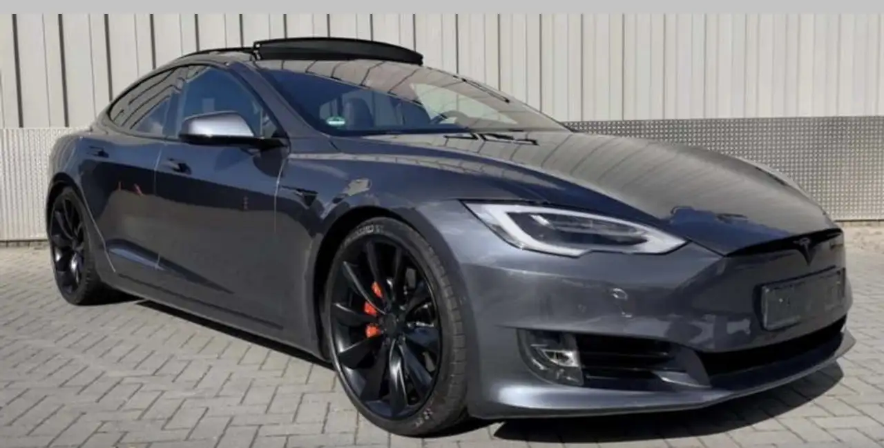 Model S100D Long range Dual Motor