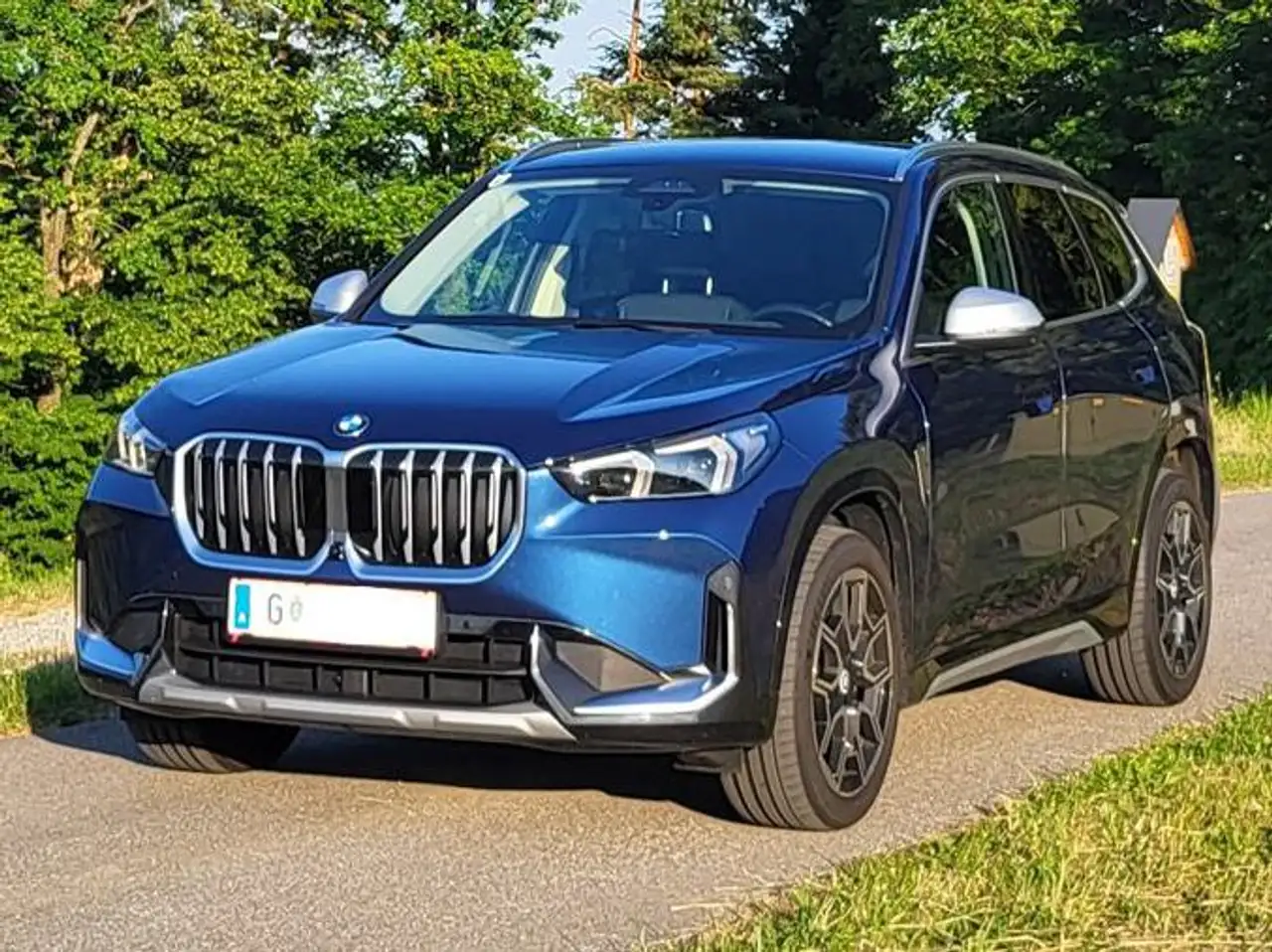 X1X1 xDrive20d 48V Aut.