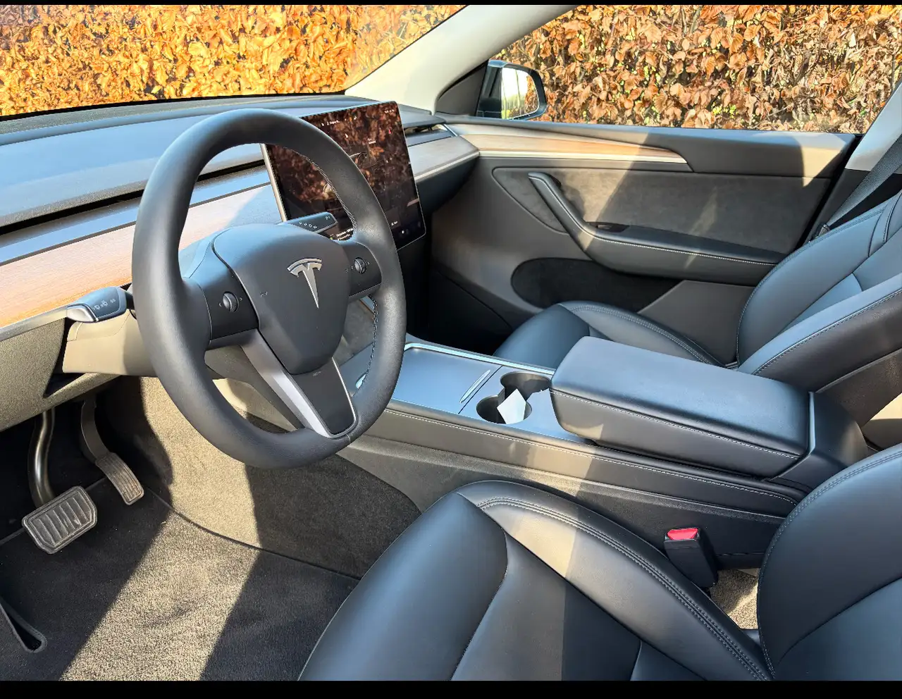 Model YLong Range Dual Motor AWD