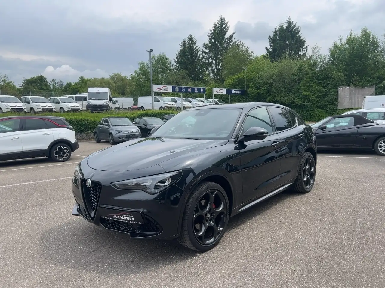 Stelvio2.0 Turbo 16V Competizione Q4 (EURO 6d)