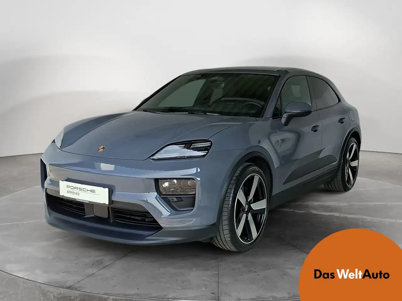 Macan4