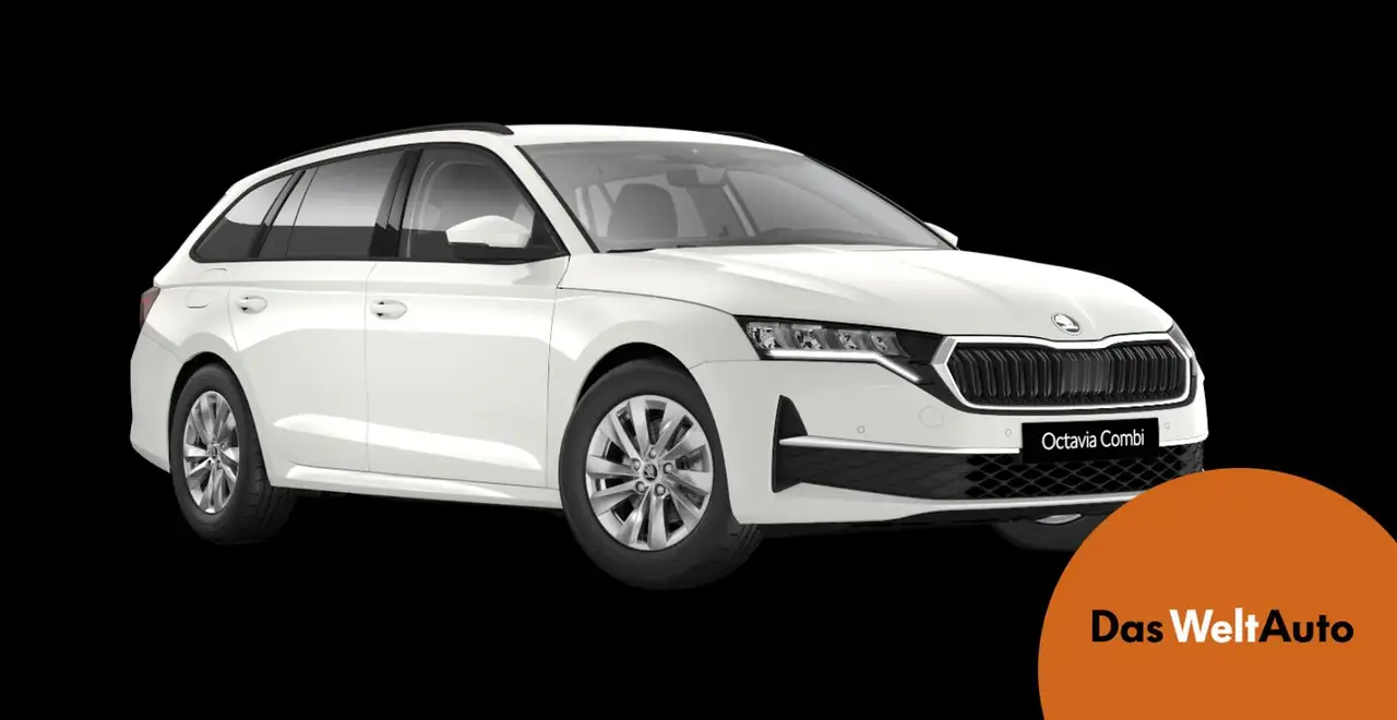 OctaviaSelection TSI