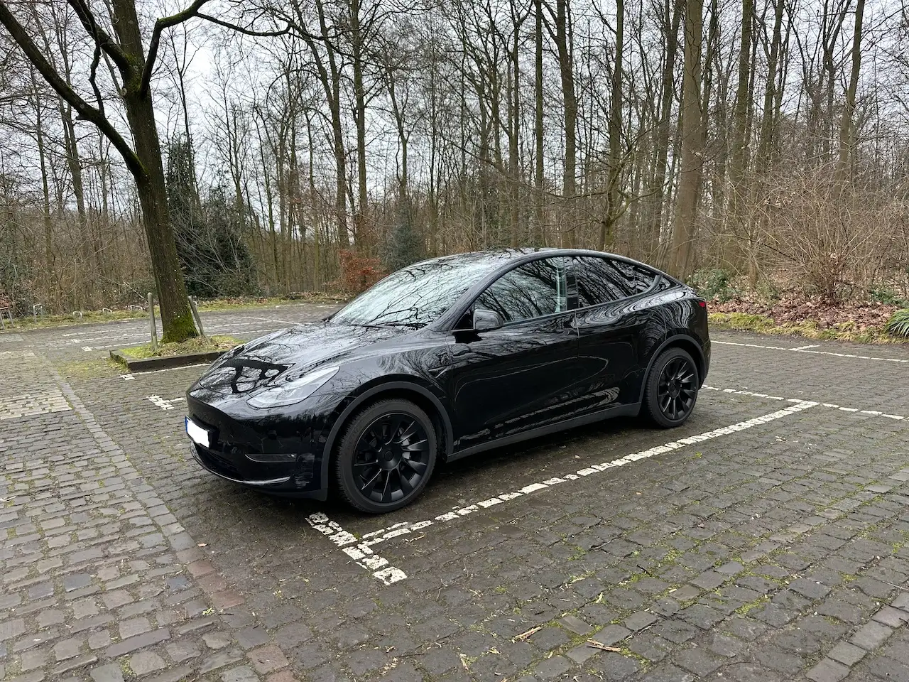 Model YModel Y Long Range Dual Motor AWD