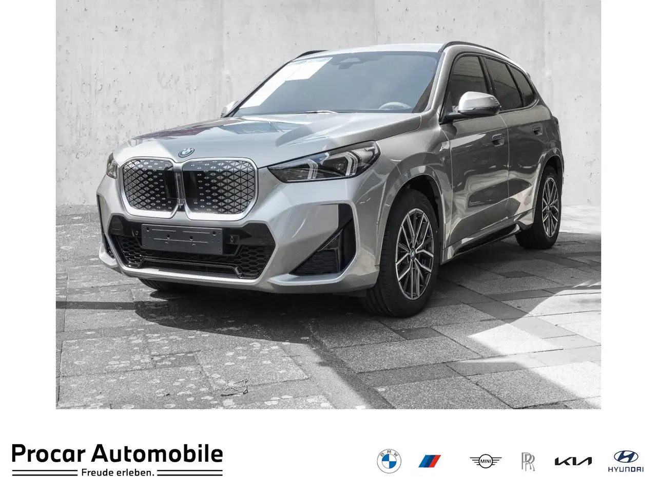 iX1xDrive30 MSport HuD H/K DA+ PA+ LED RFK PDC