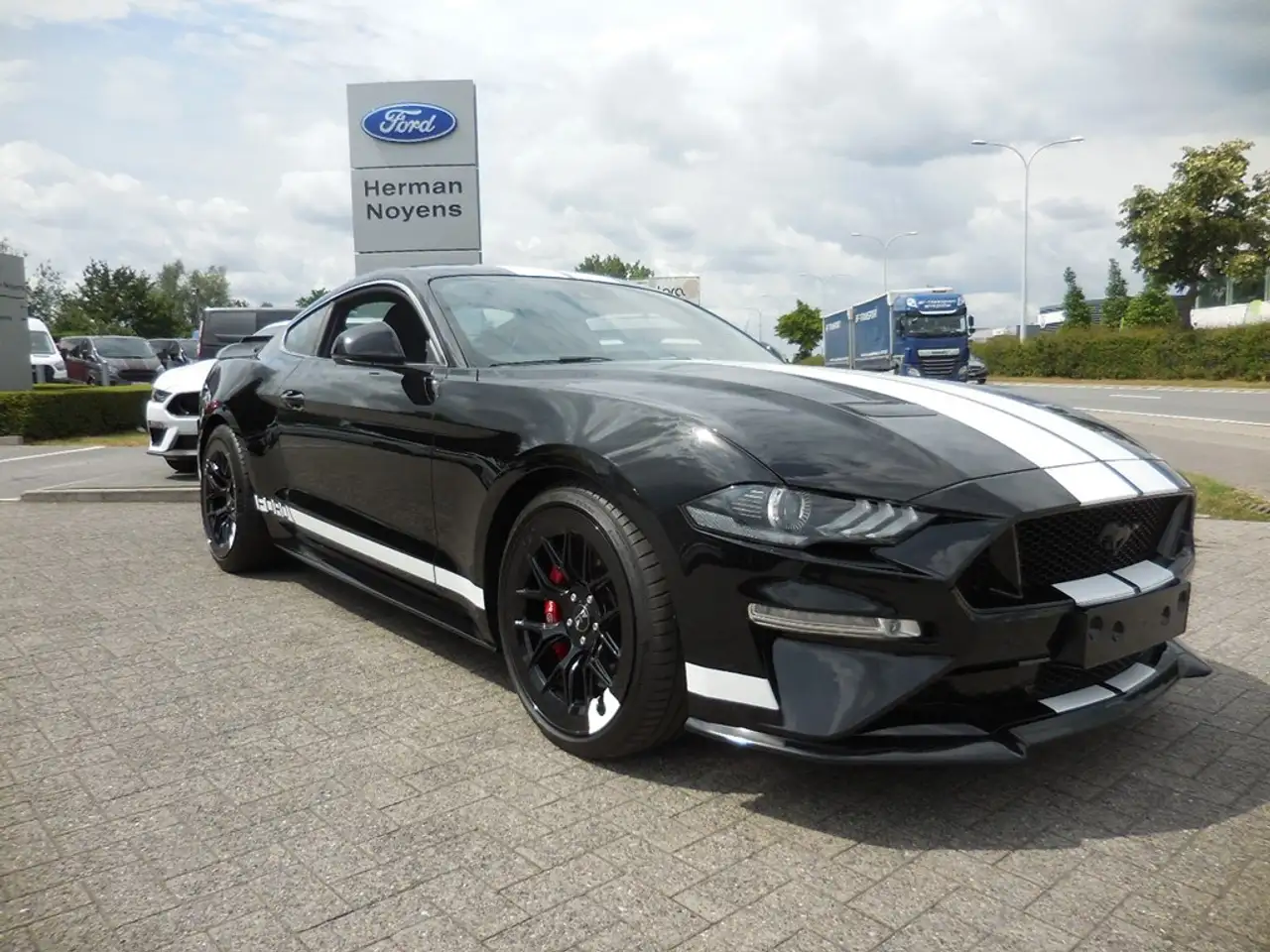 Mustangnull