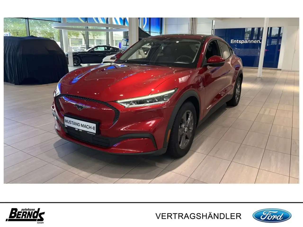 Mustang Mach-ENAVI 360° + R-KAMERA PARK-PILOT KLIMAAUTO. ISOFIX