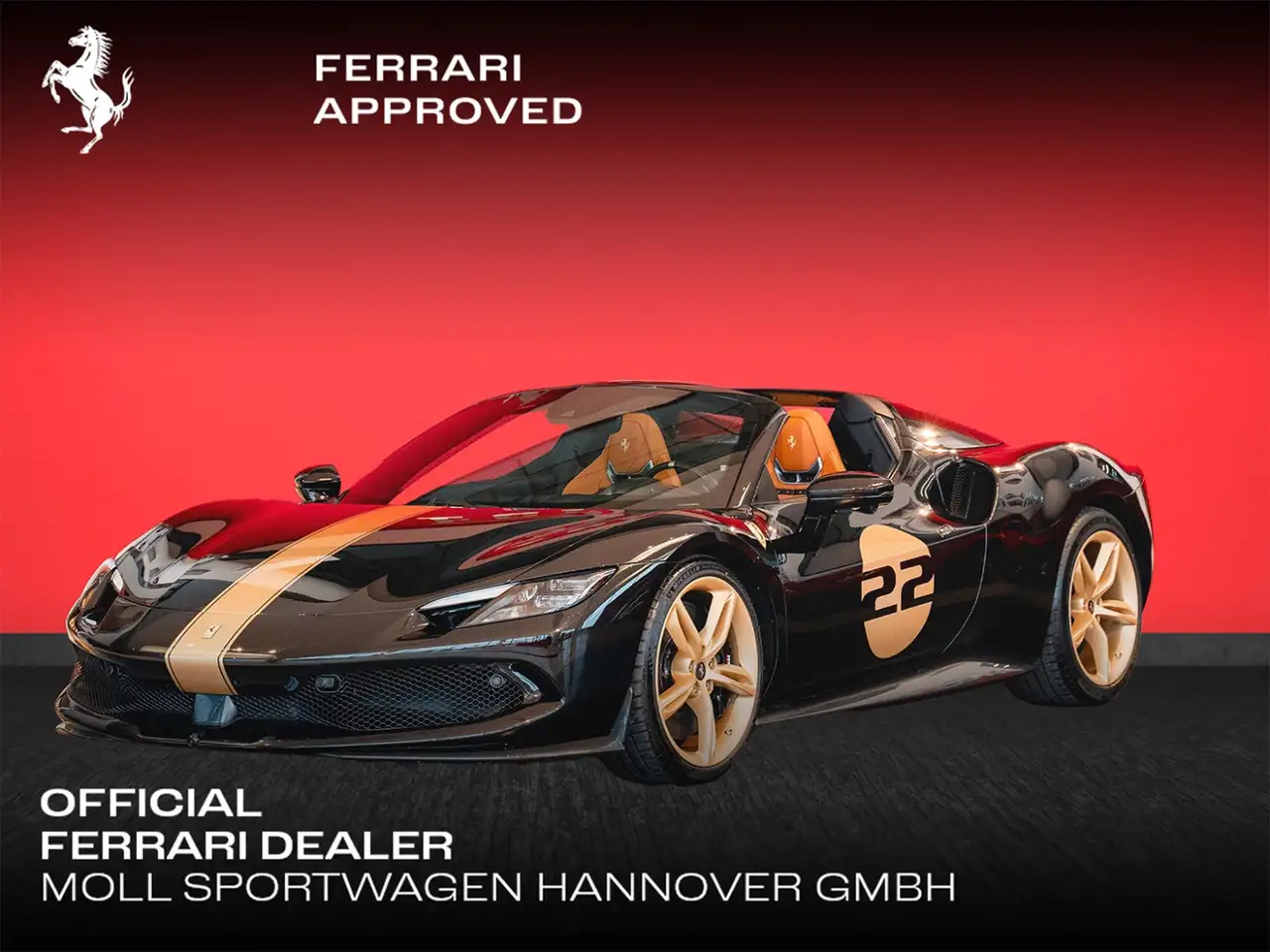 296GTS Atelier*Lift*Carbon*Lackierte-Nummern