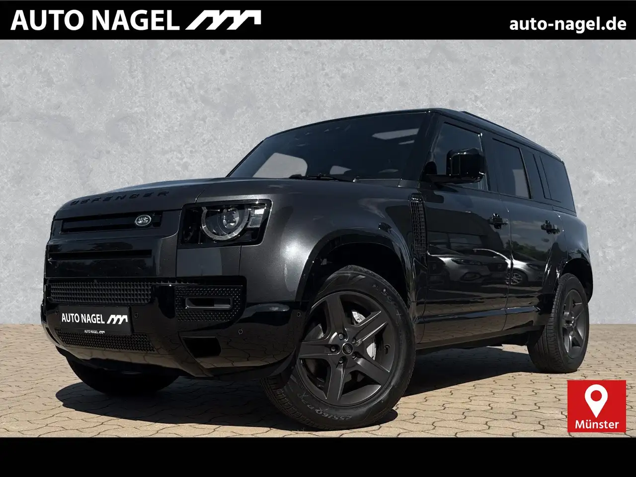 DefenderDefender 110 D300 X-Dyn. SE 20" AHK Pano WinterP