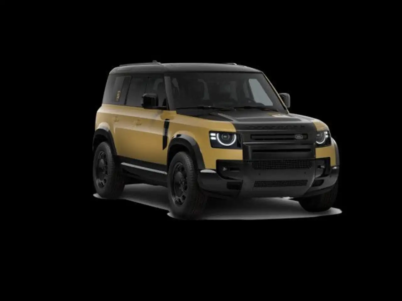 Defender110 D350 Trophy Edition AHK Panorama Navi
