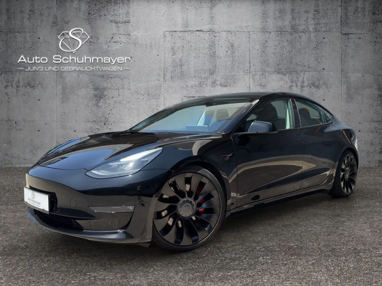 Model 3Performance Dual 82 kWh AWD //KW-Gew., Carbon+++//
