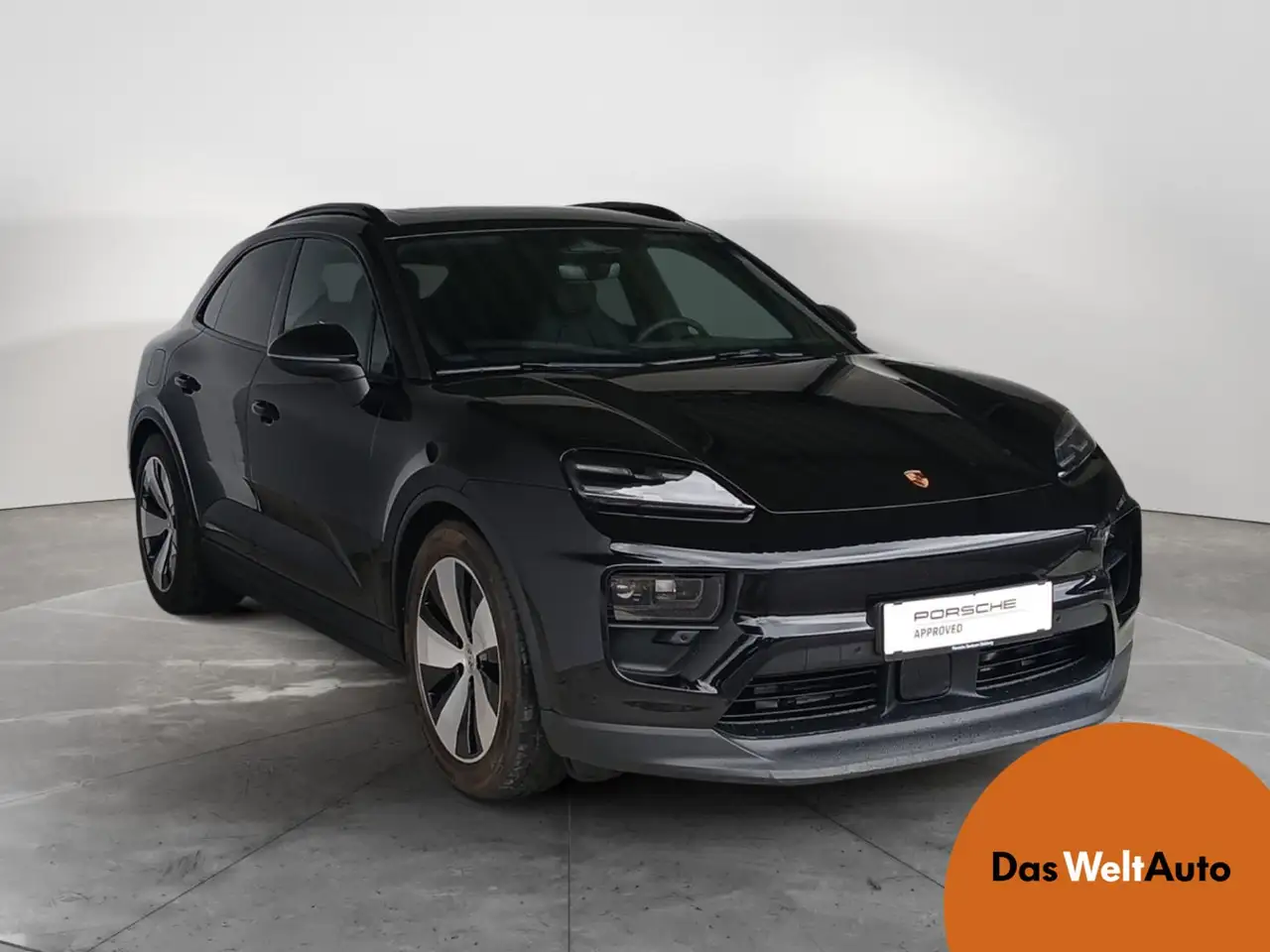 Macan4