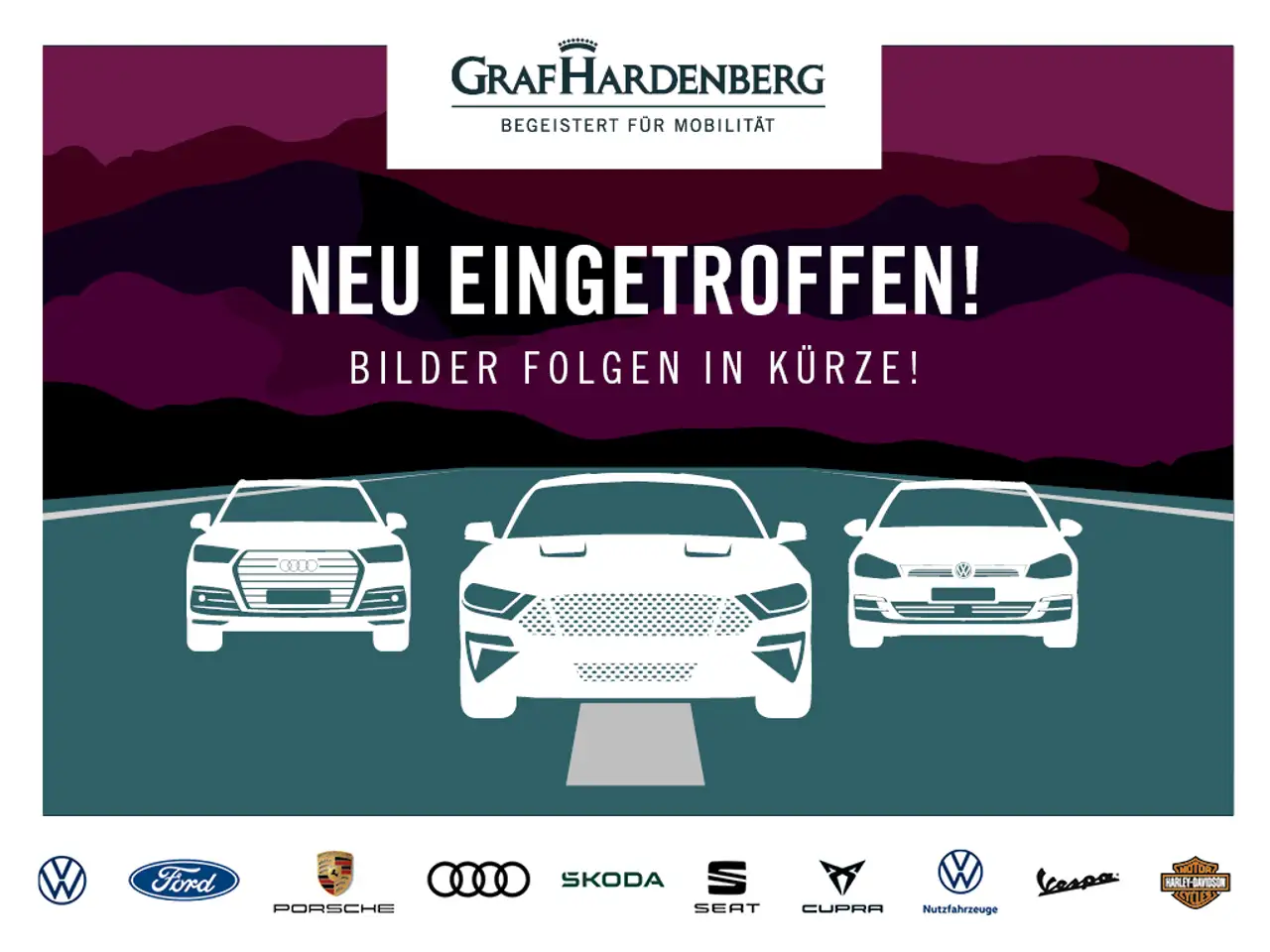 Passat2.0 TDI 4MOTION R-Line NAVI REAR VIEW