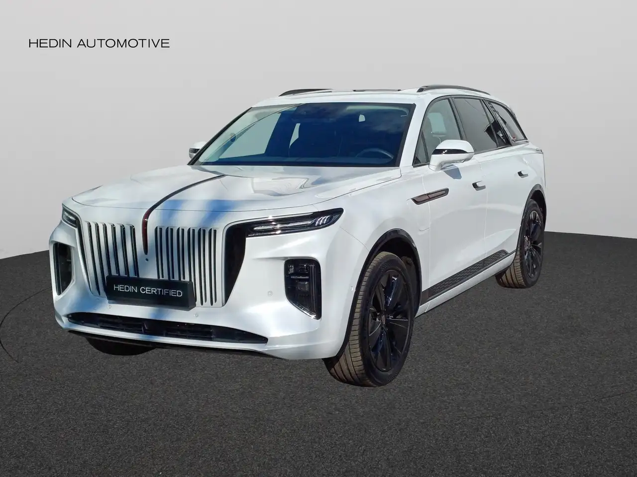 E-HS999kWh Executive