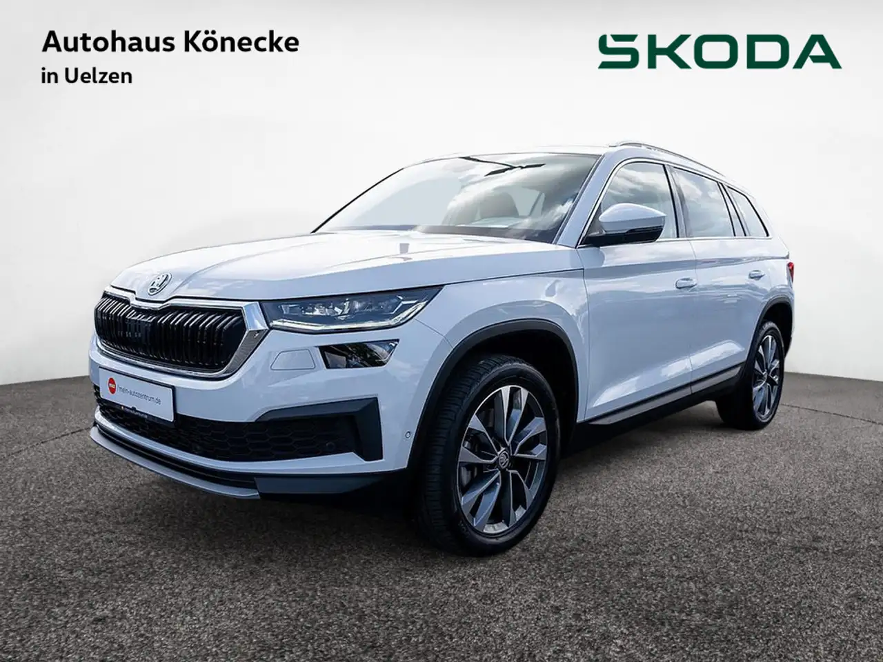 Kodiaq2.0 TDI Tour 4x4 DSG AHK KAMERA STANDH