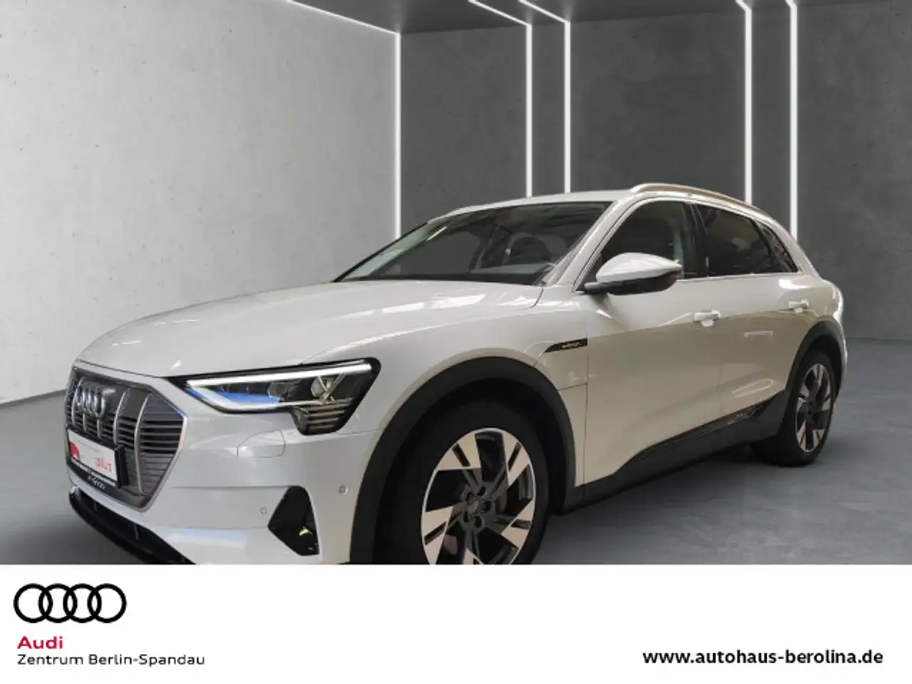 e-tron50 qu. *ACC*Virt.C+*AHK*NAV+*R-CAM*SHZ*