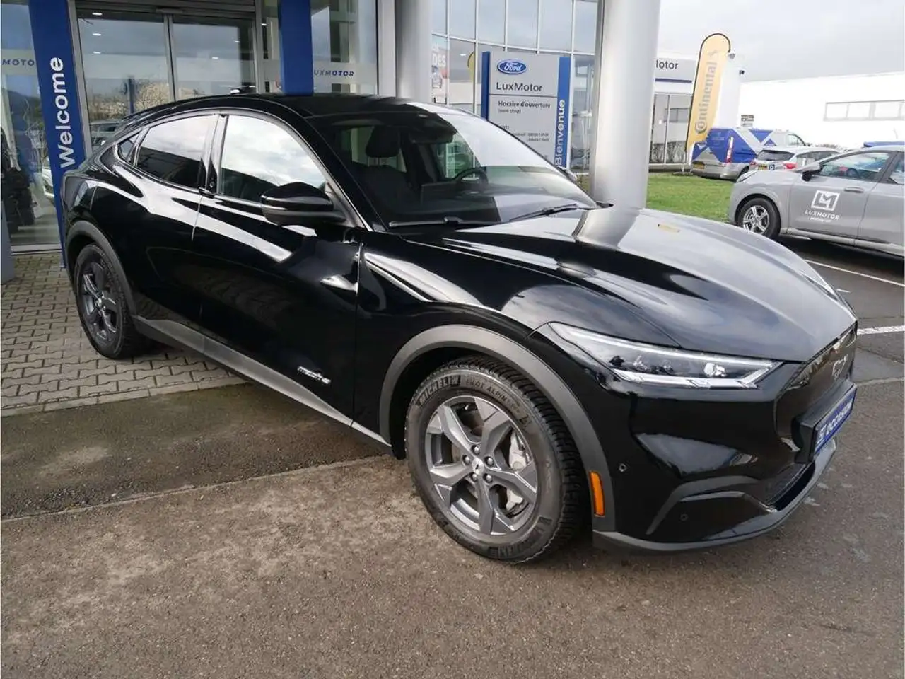 Mustang Mach-ERWD 76kWh Standard Range 258ch/190kW - A1