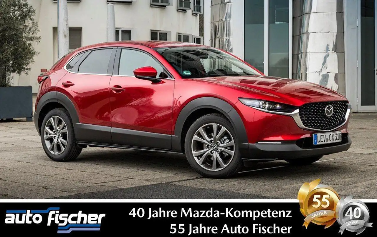 CX-302.5 (140PS) Schalter. Exclusive-Line Sitzh