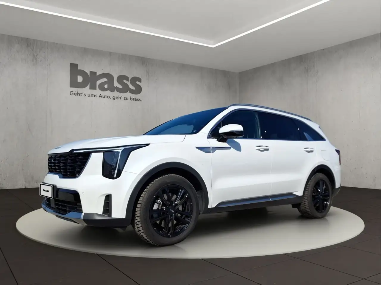 SorentoSORENTO 2.2D AWD PLATINUM PANORAMADACH 7 SITZER