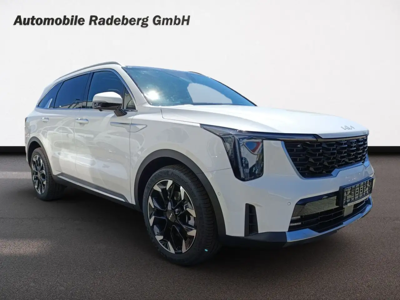 SorentoPlatinum PE AWD  NAPPA Panodach