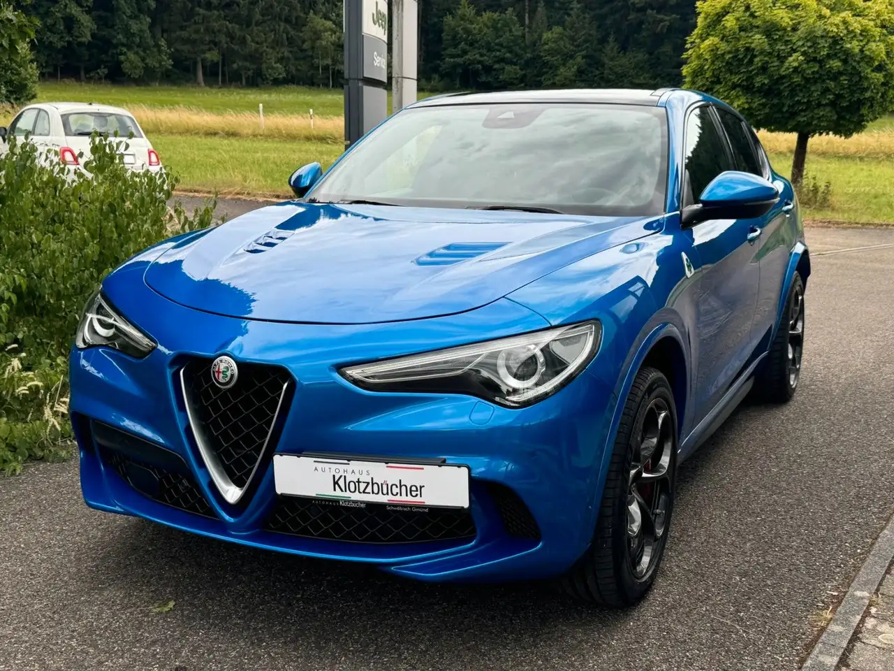 StelvioQuadrifoglio Q4