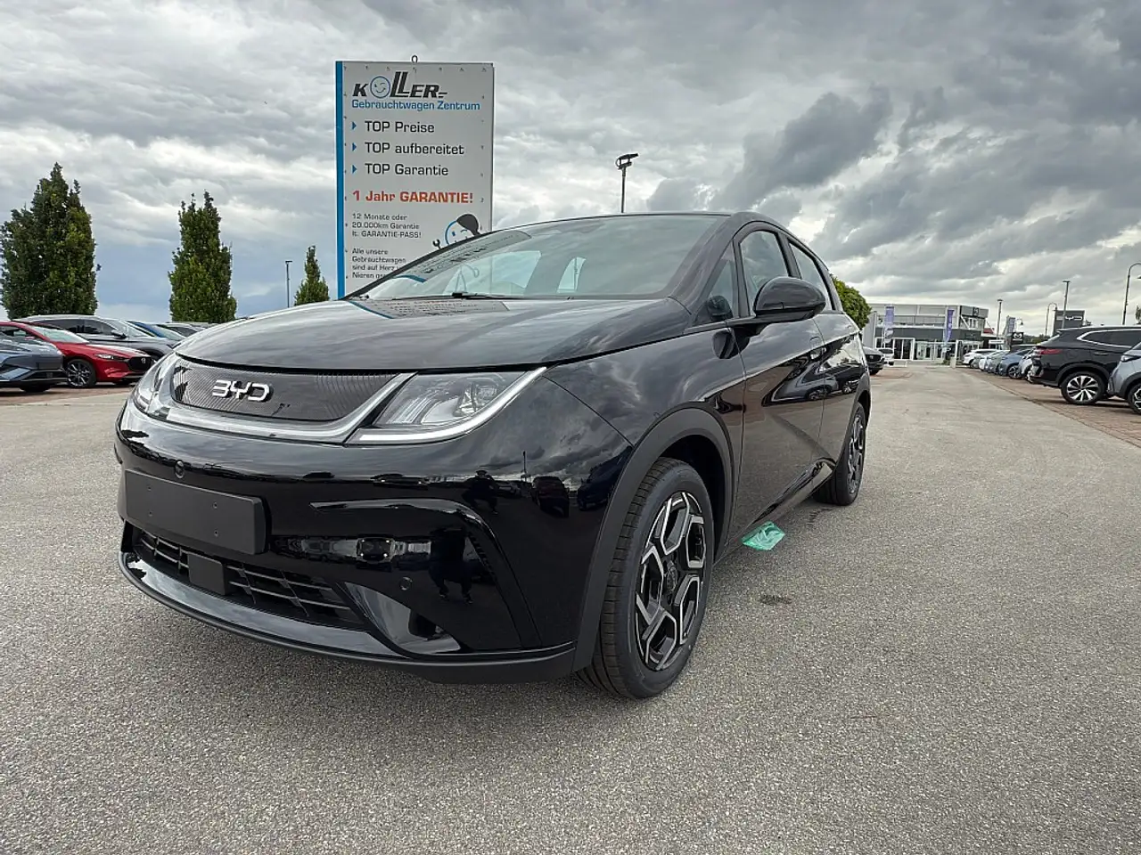 Dolphin60,4 kWh Comfort Österreich Paket MY 2025