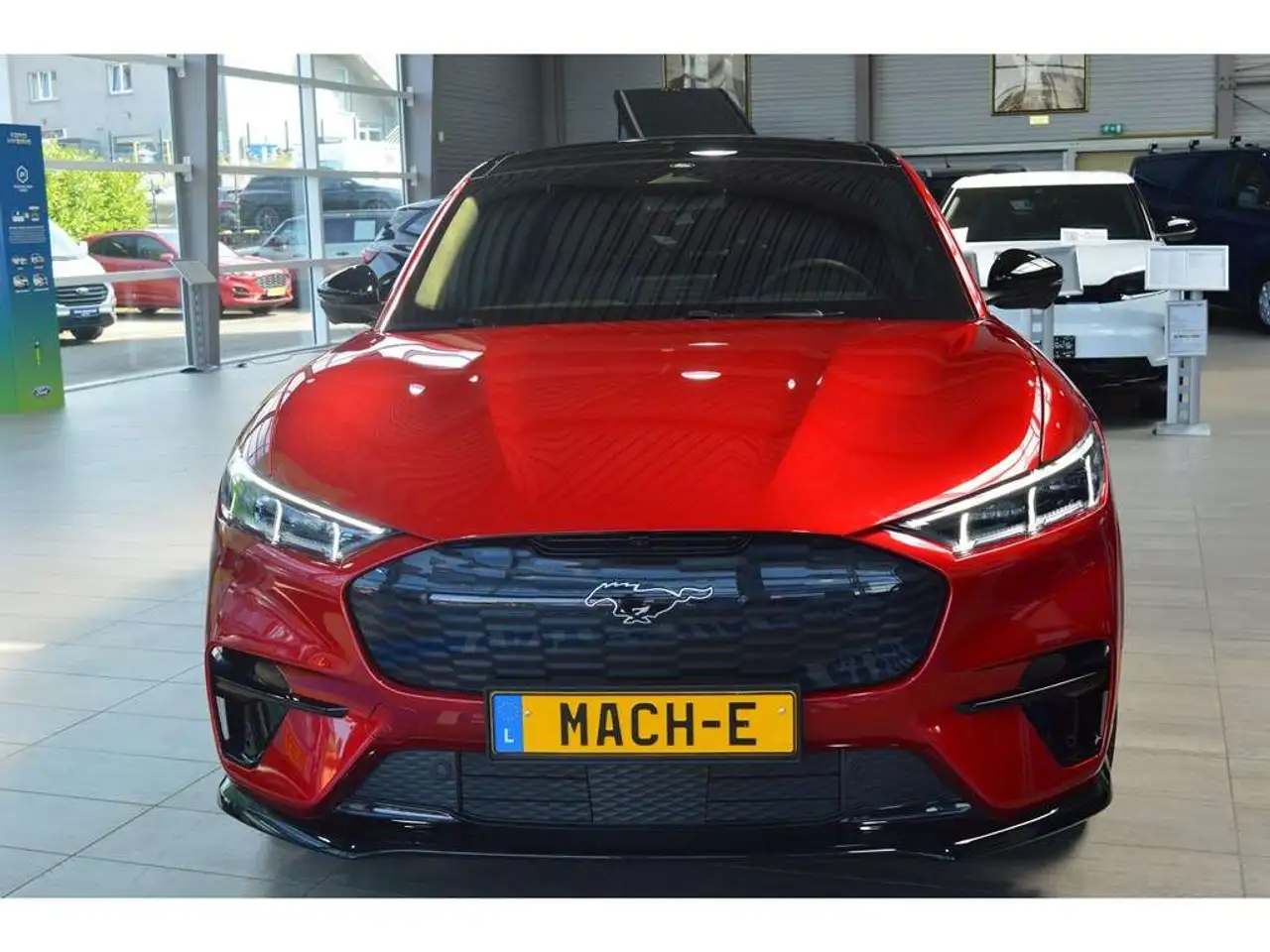 Mustang Mach-EGT 99kWh Extended Range 487ch A1 GAR 06/2030