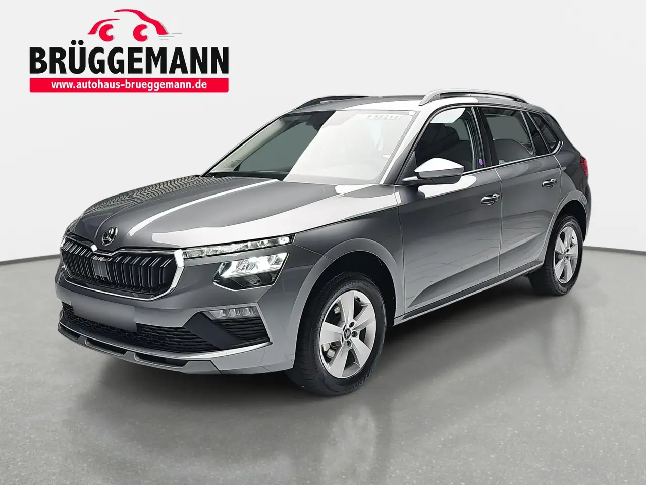 KamiqKAMIQ 1.0 TSI 130 JAHRE LED KLIMAAUTO WINTER SICHT