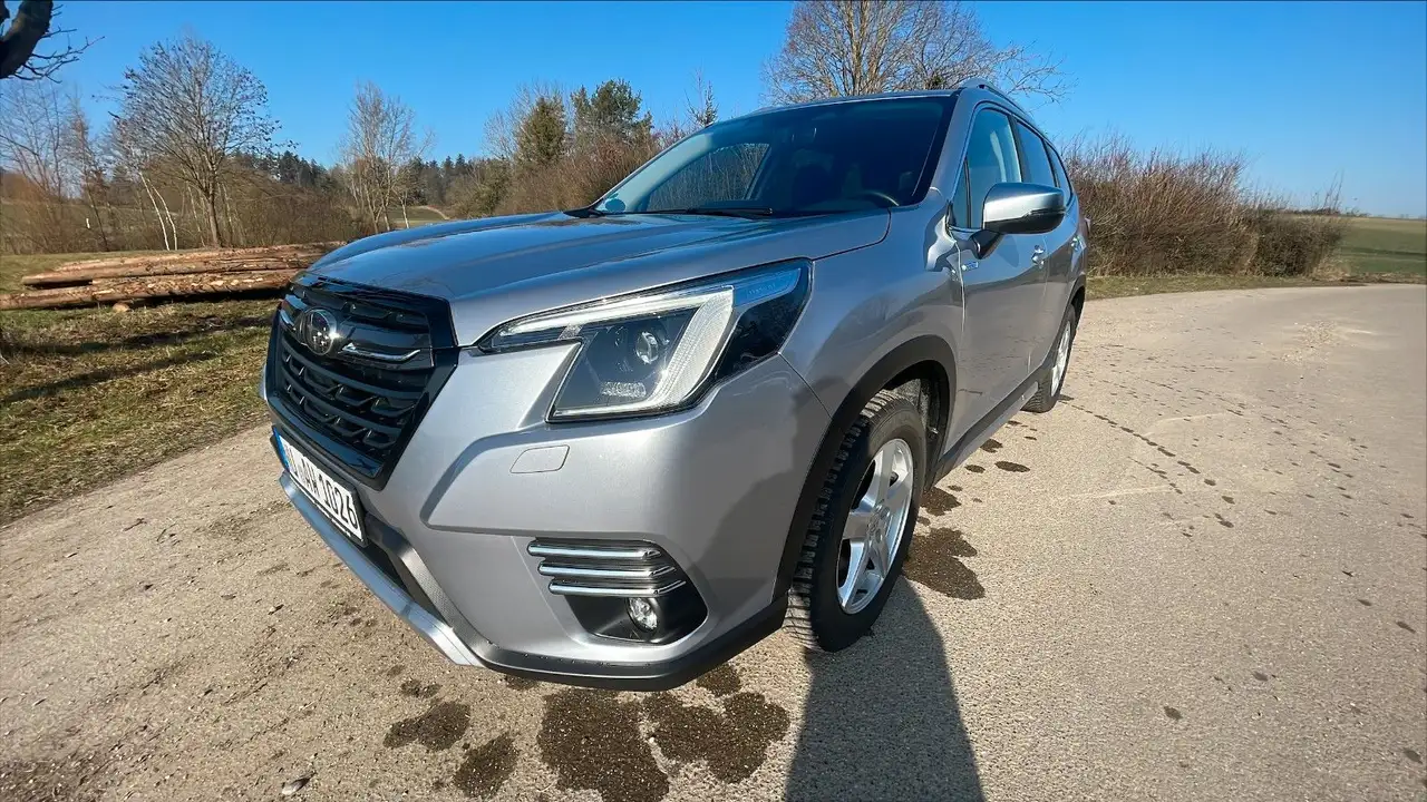 ForesterActive e-Boxer, RFK, 8-fach bereift,Top