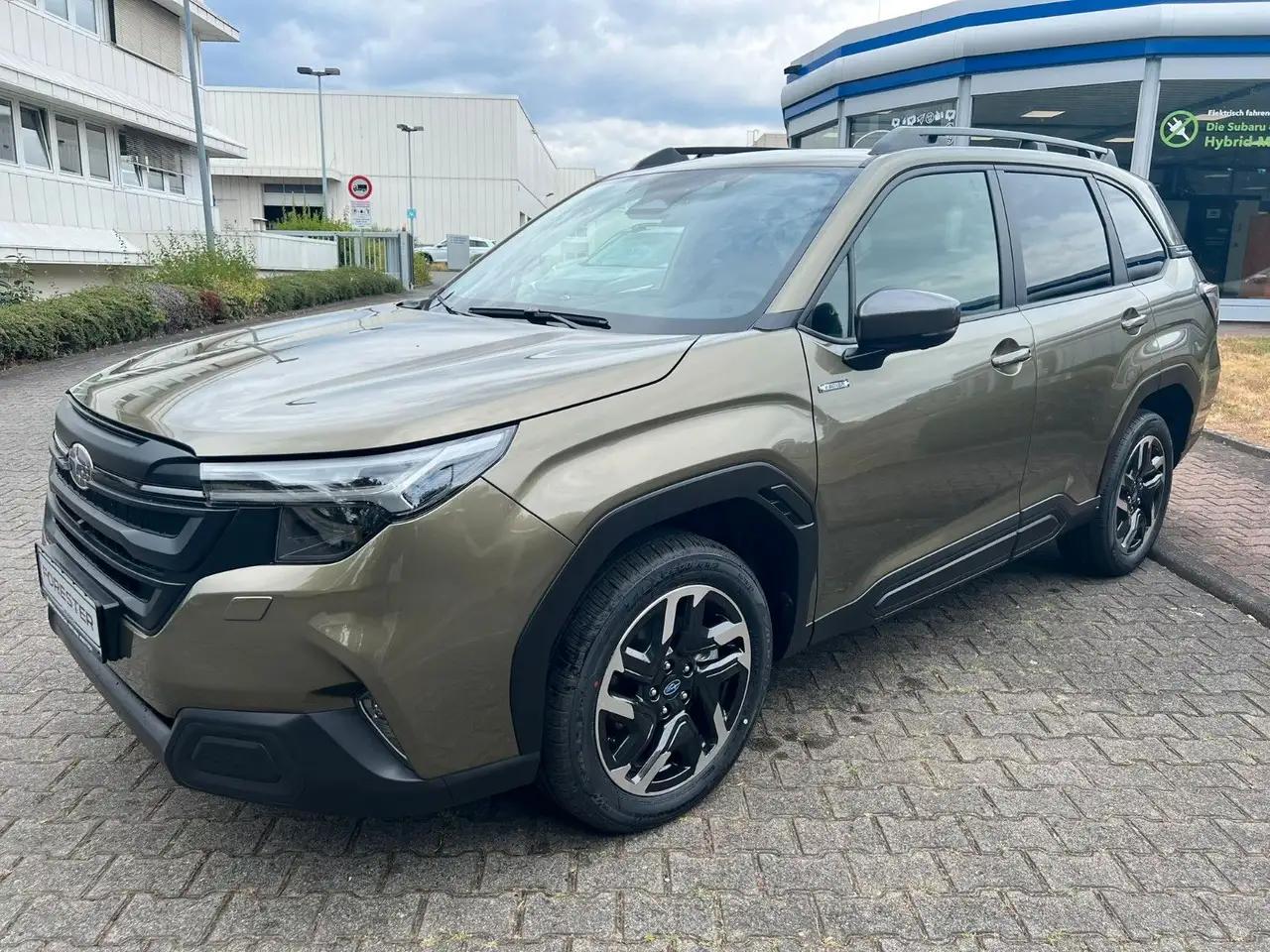 ForesterActive MJ 2025