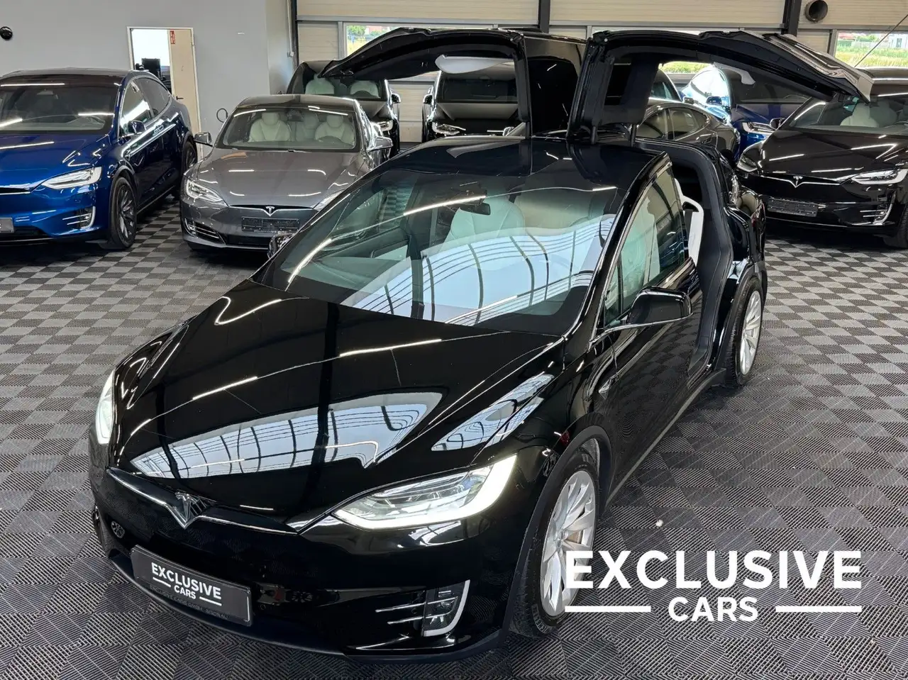 Model XMODEL X LONG RAVEN PLUS + | 103kWh | AP 3.0 |
